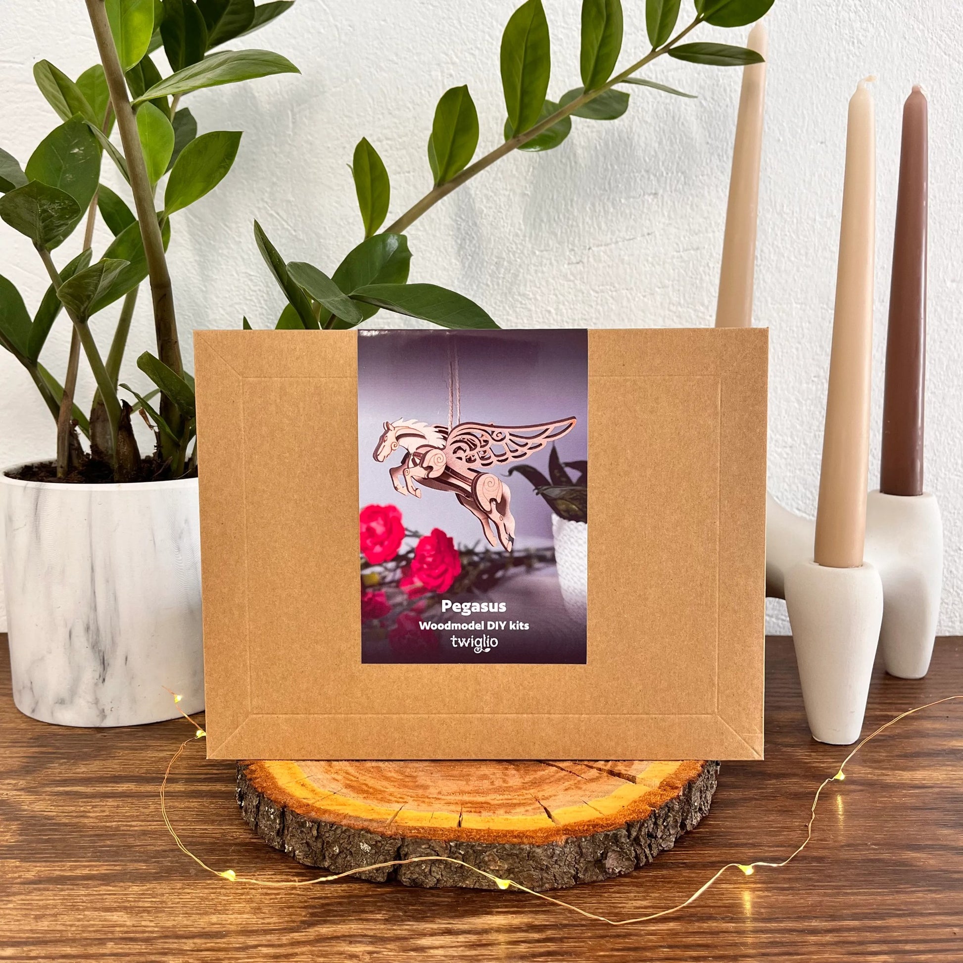 Wooden model kit packaging on a wooden surface with plants and candles in the background